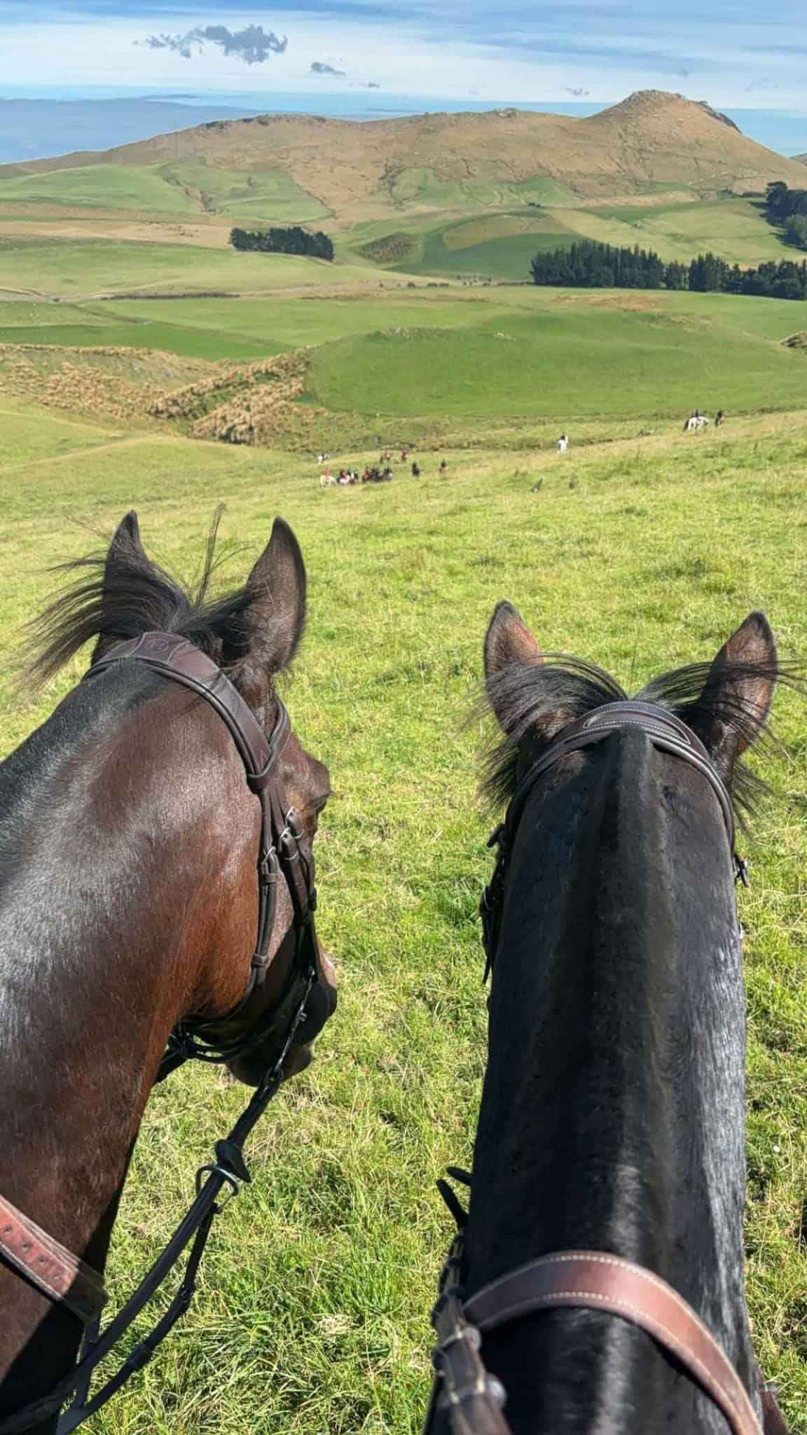 Scenic view of rolling green hills with two horses in the foreground.